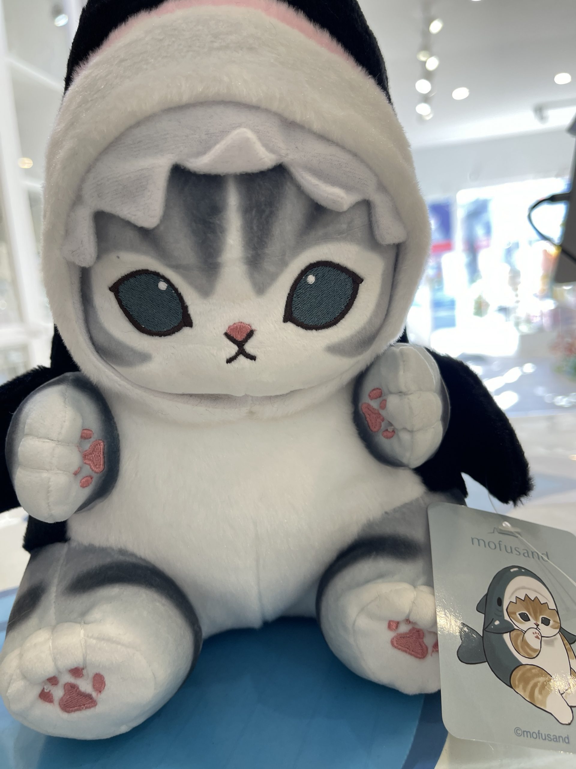 π¦π± Mofusand Shark Cat Plush β Super Cute & Huggable! π±π¦ - Image 3