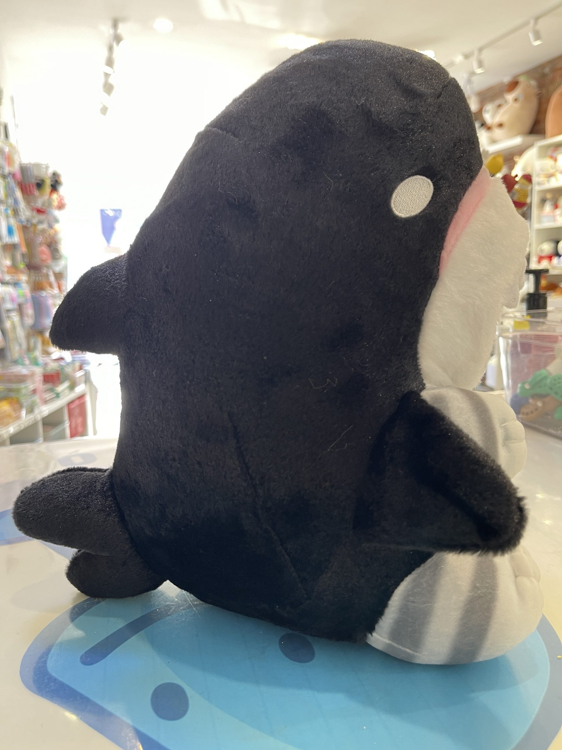 π¦π± Mofusand Shark Cat Plush β Super Cute & Huggable! π±π¦ - Image 4