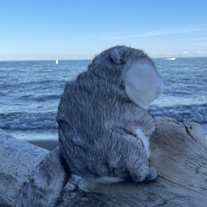 Don’t Leave Me Alone – Otter Plush