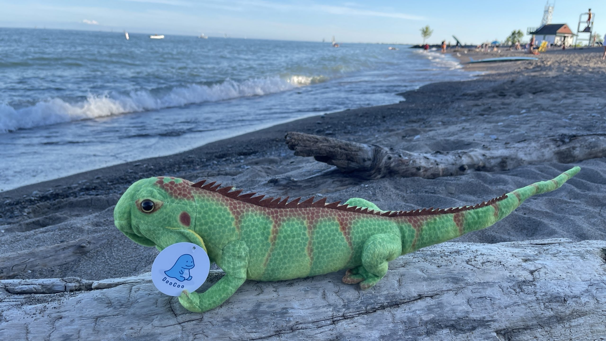 Emerald Iguana Plush - Image 4