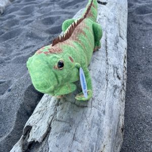 Emerald Iguana Plush