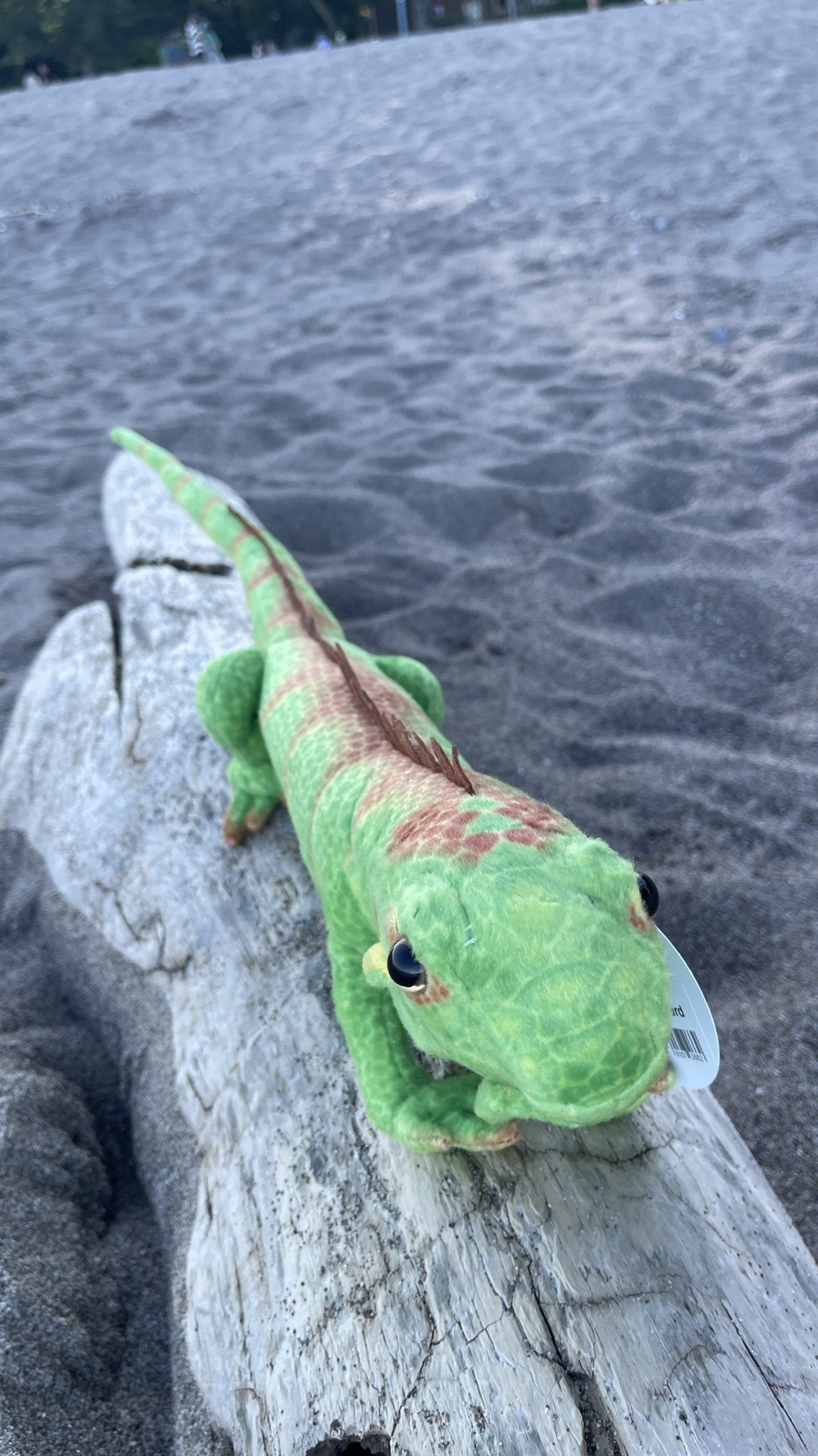 Emerald Iguana Plush