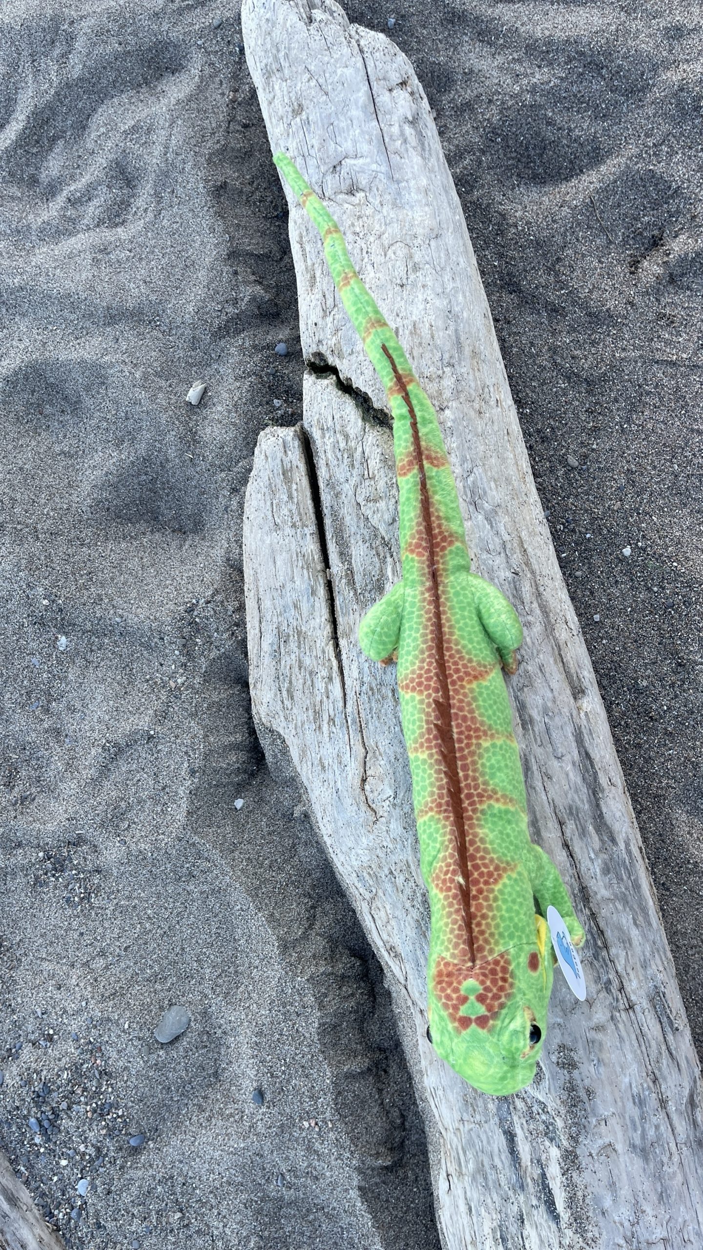 Emerald Iguana Plush - Image 3