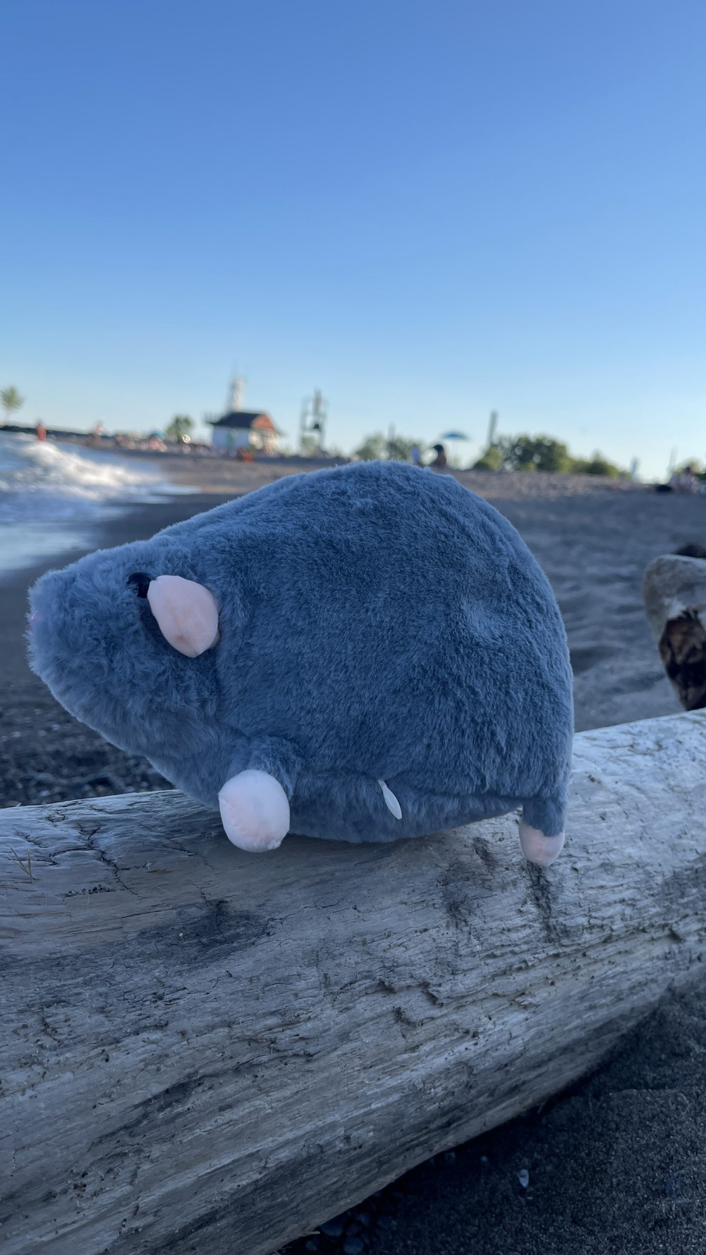 Pocket Rat Plush - Image 5