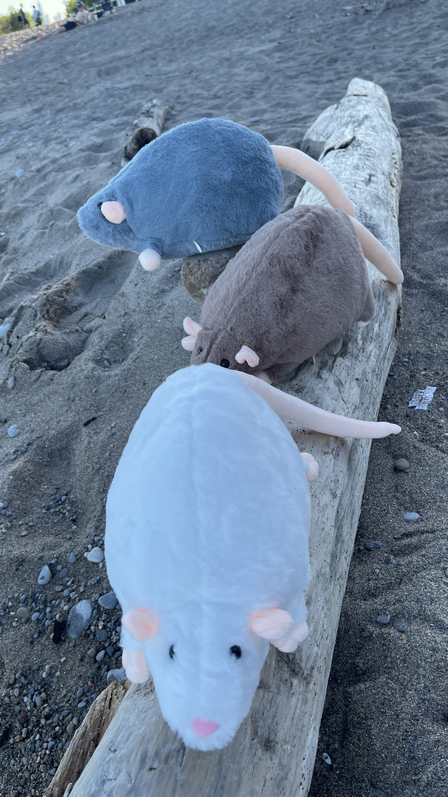 Pocket Rat Plush - Image 6