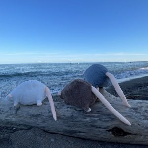 Pocket Rat Plush