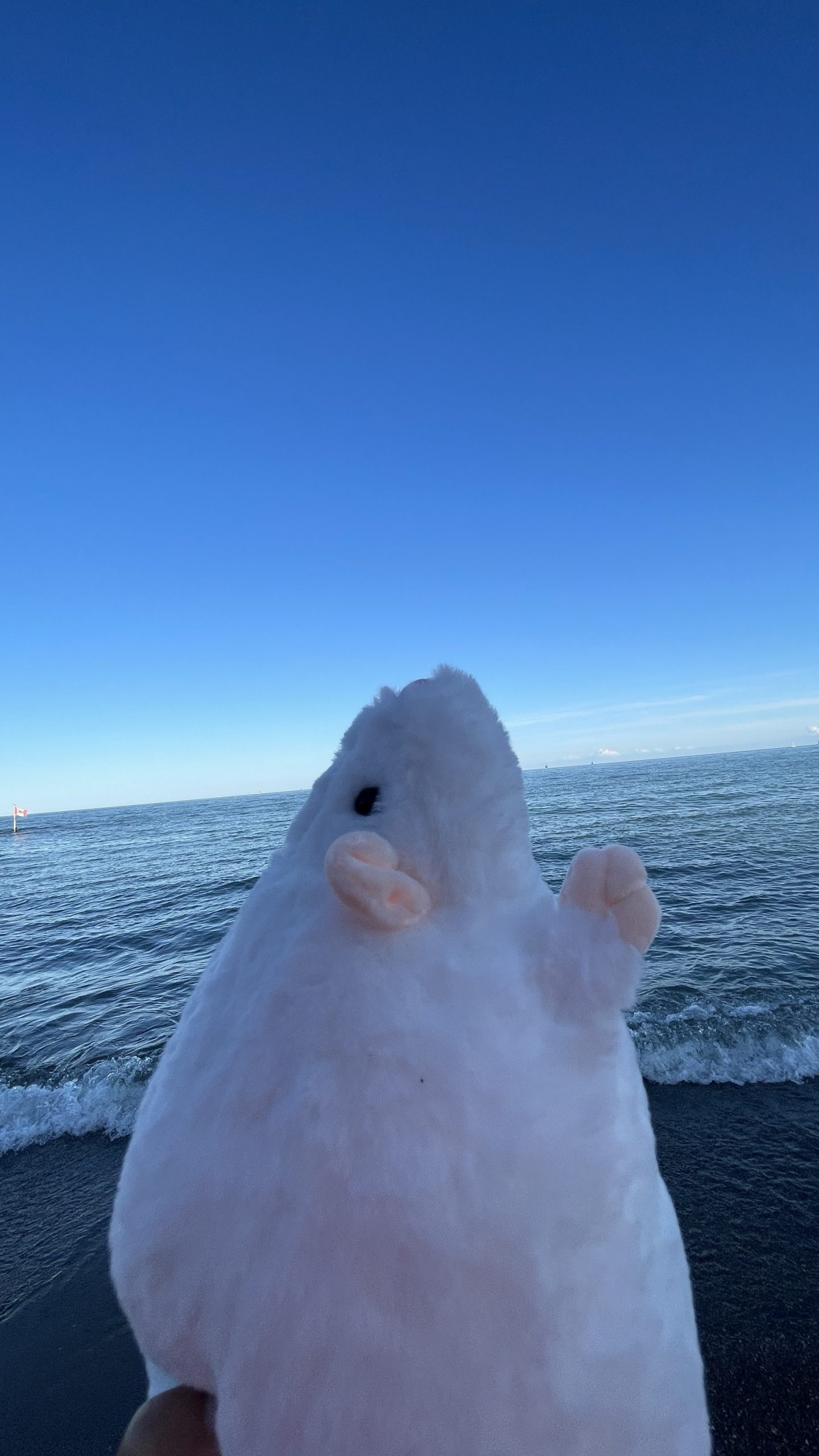 Pocket Rat Plush - Image 7