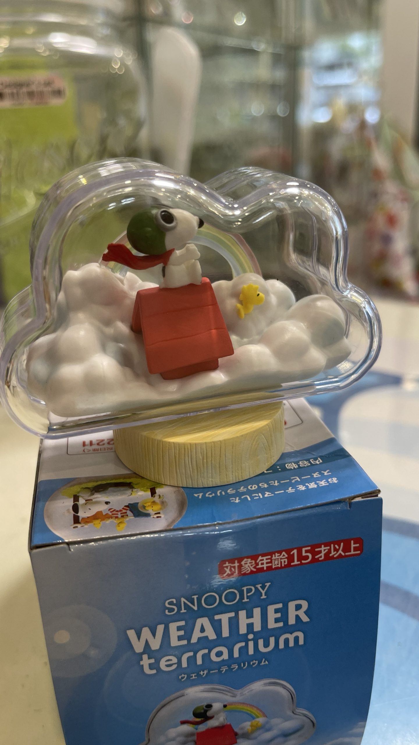 Snoopy Weather Terrarium Blind Box - Image 7