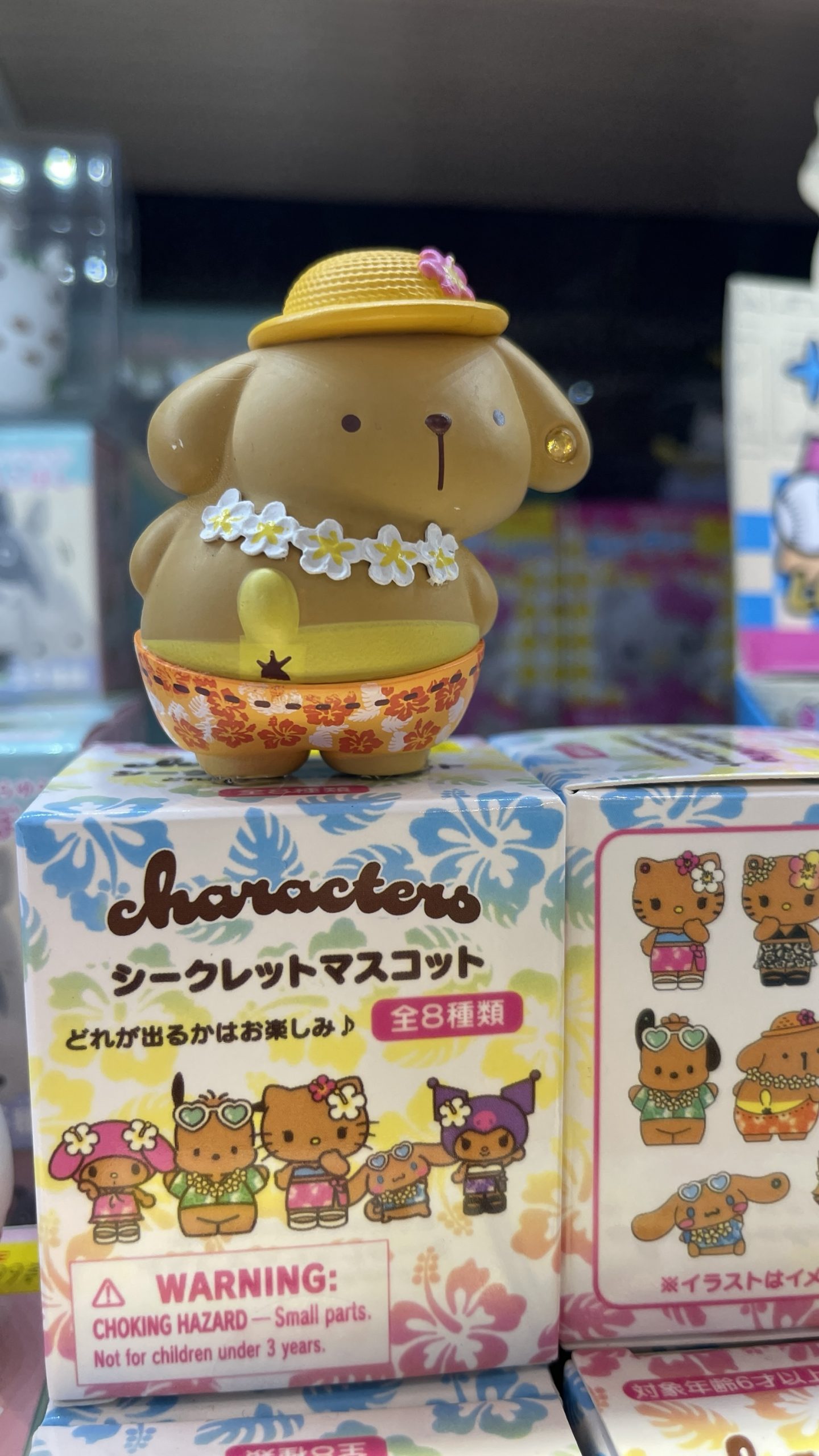 Sanrio Characters Hawaiian Vacation Secret Mascot Blind Box
