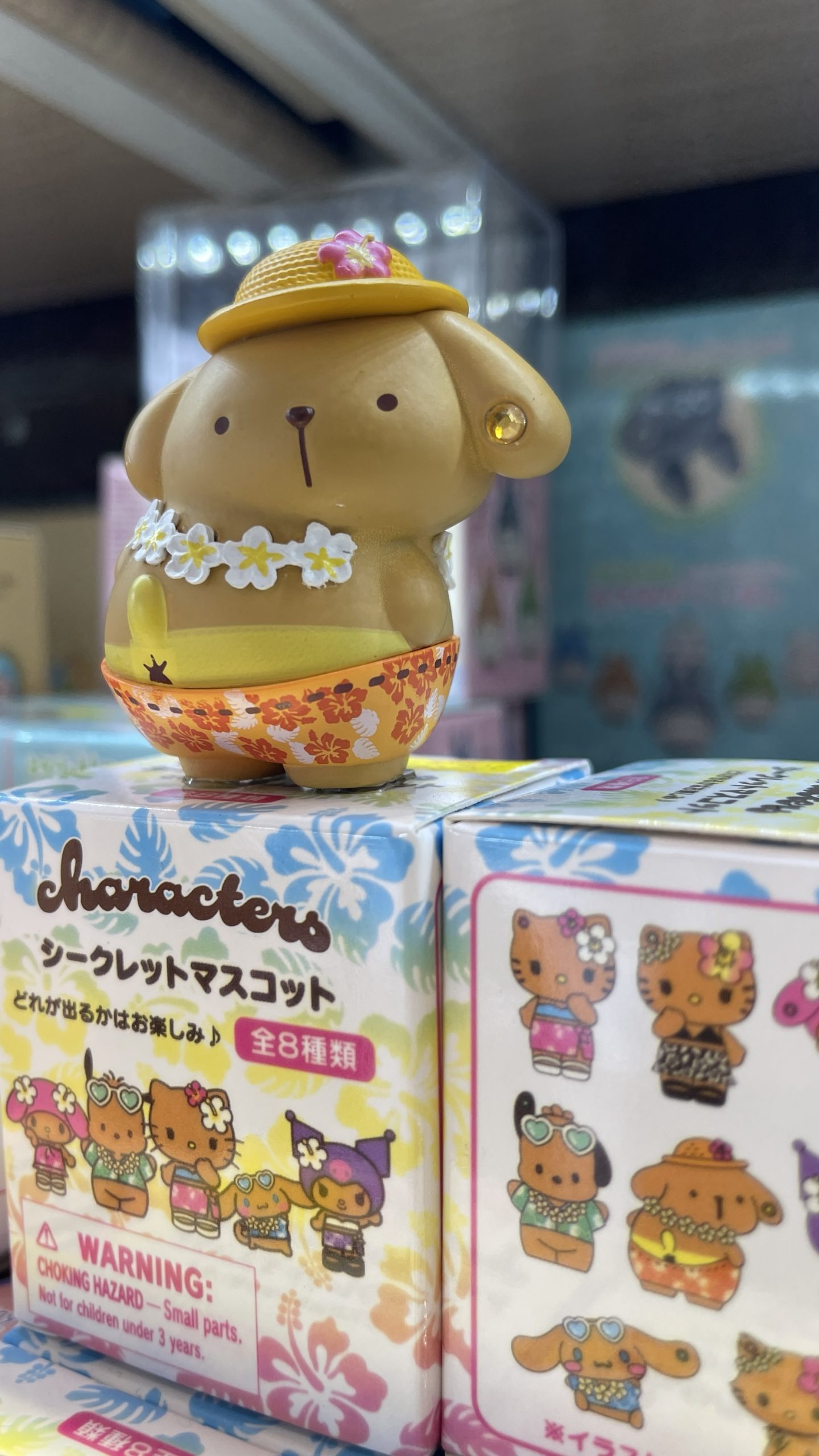 Sanrio Characters Hawaiian Vacation Secret Mascot Blind Box - Image 4