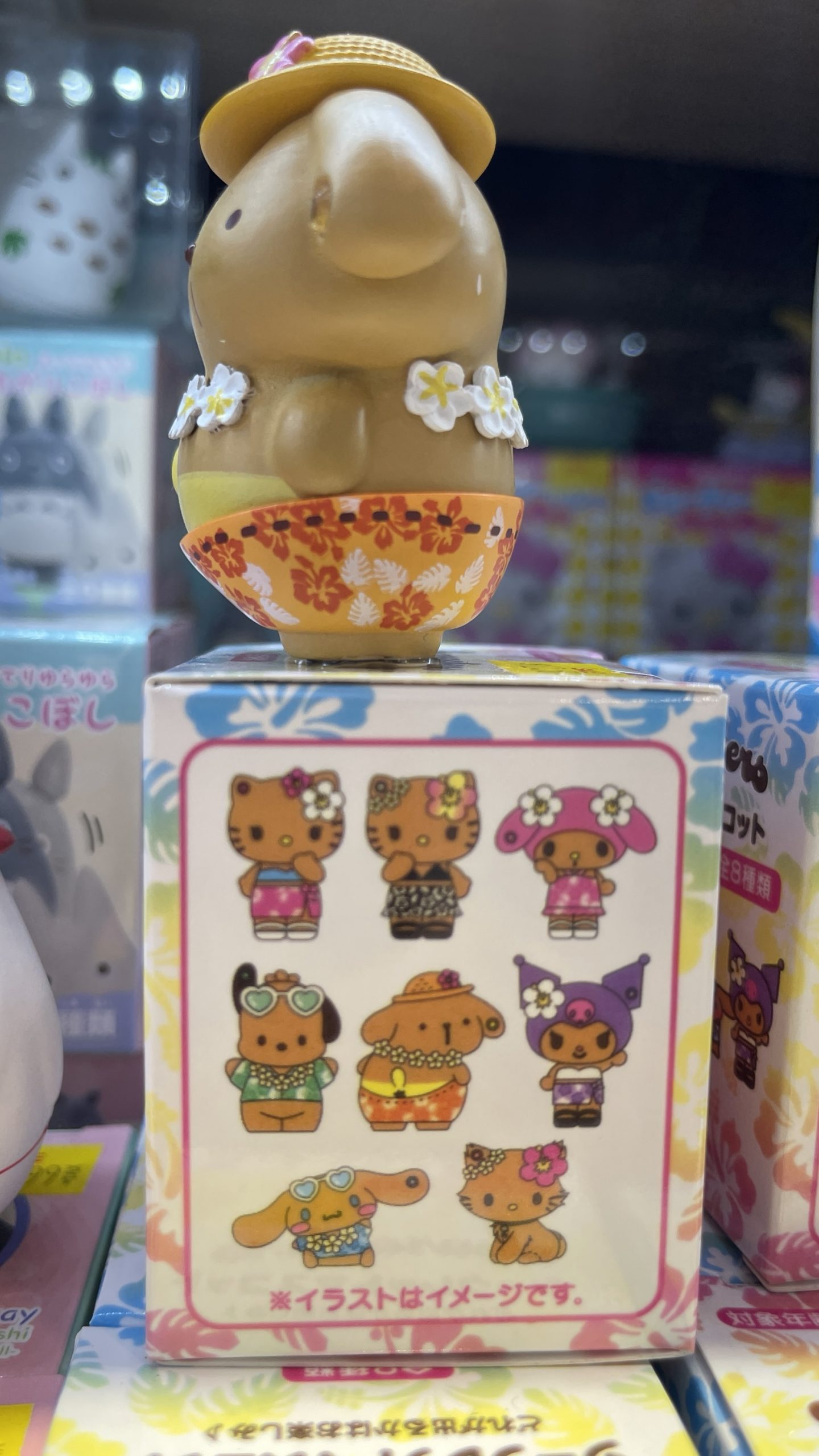 Sanrio Characters Hawaiian Vacation Secret Mascot Blind Box - Image 5