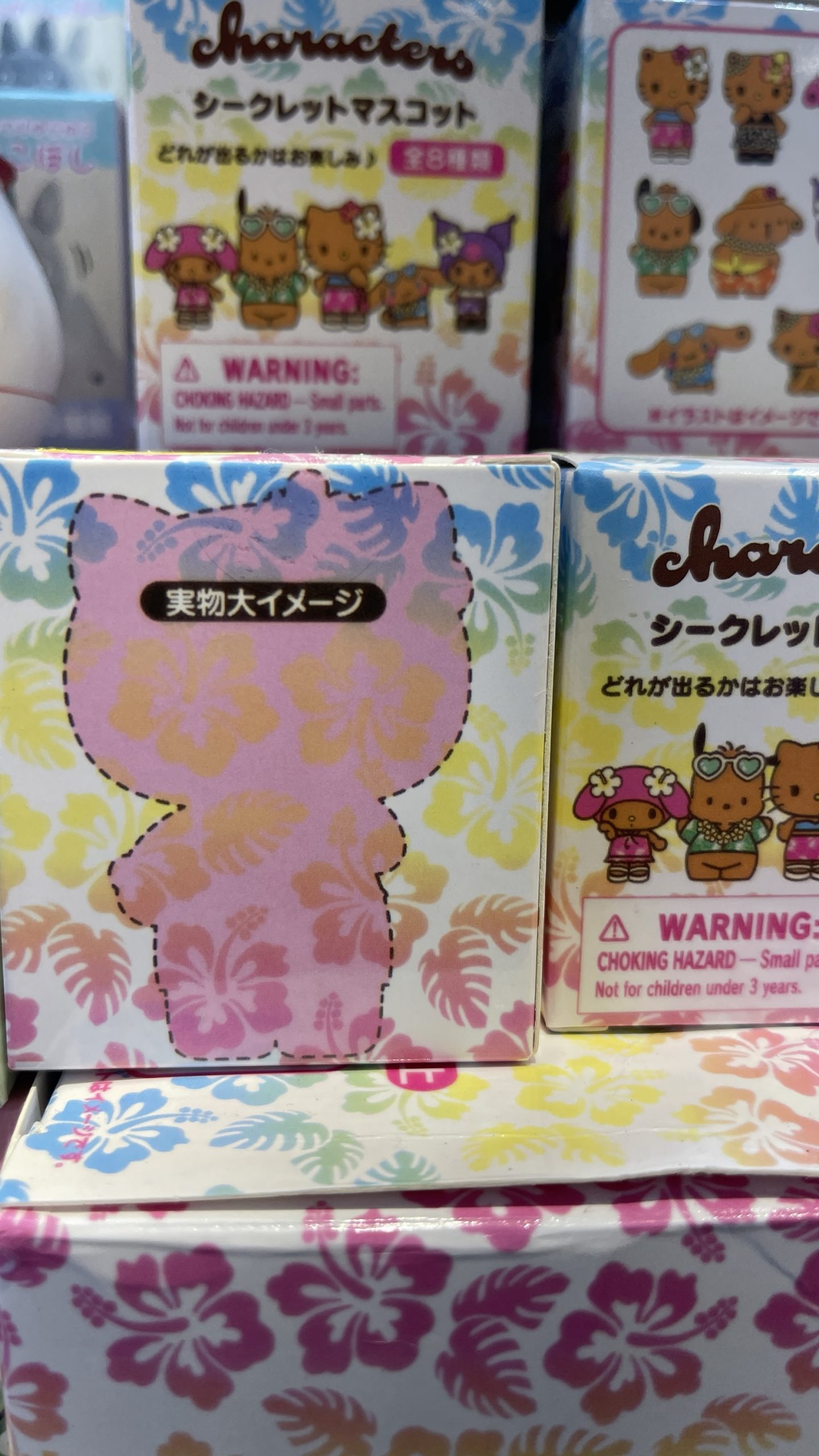 Sanrio Characters Hawaiian Vacation Secret Mascot Blind Box - Image 3