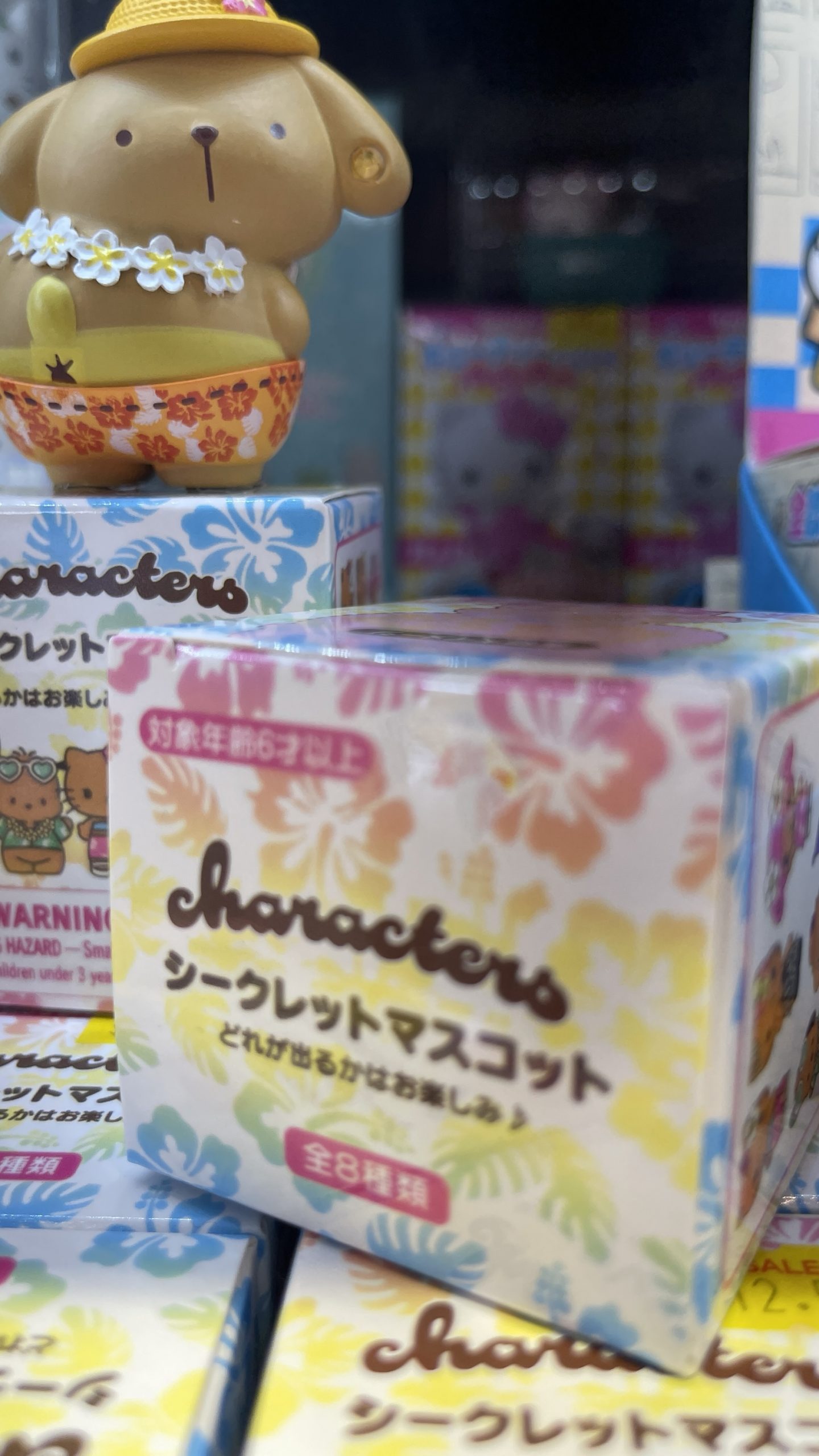 Sanrio Characters Hawaiian Vacation Secret Mascot Blind Box - Image 2