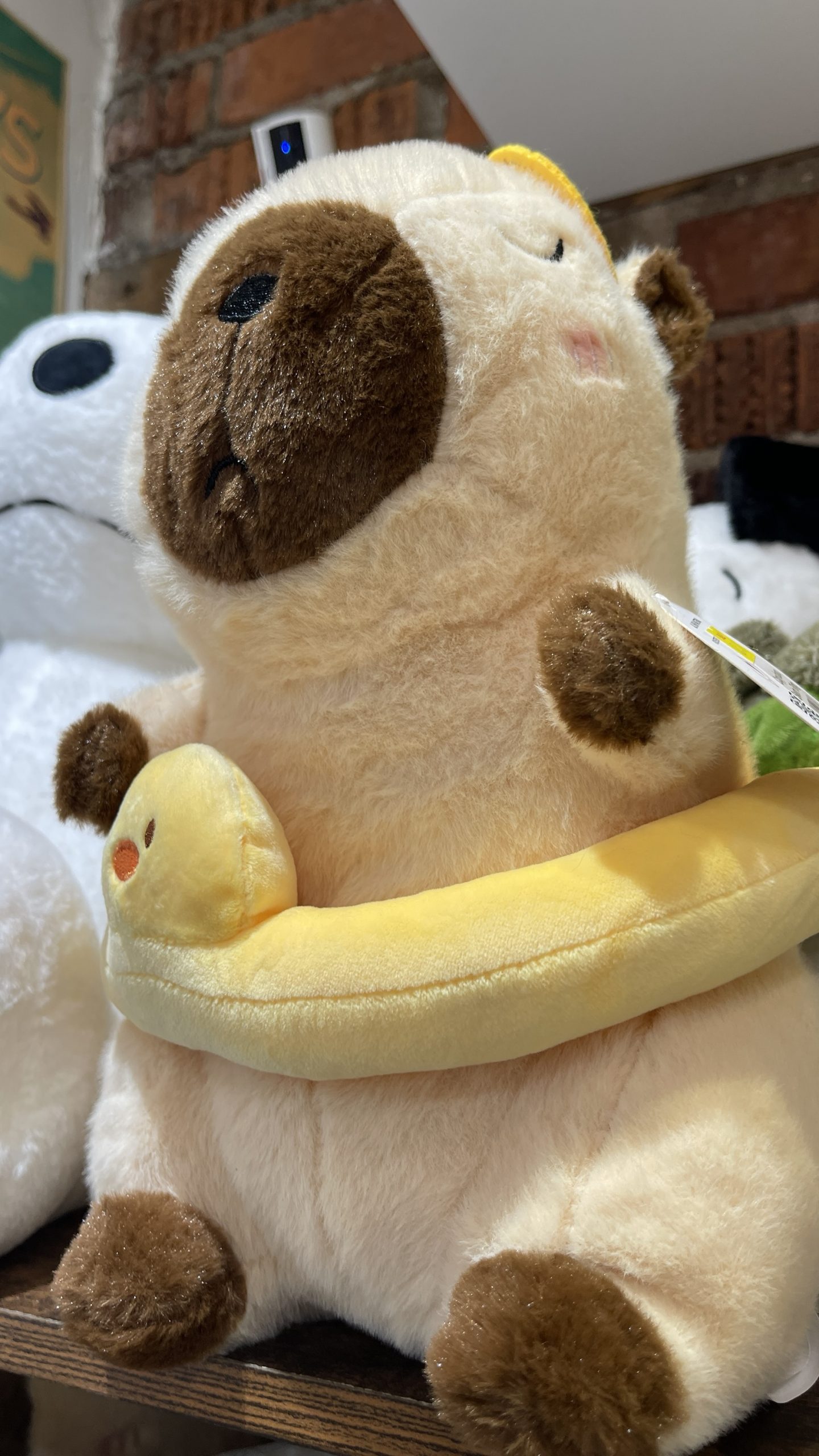 Capybara with Duck Swim Ring Plush – 30cm - Image 4