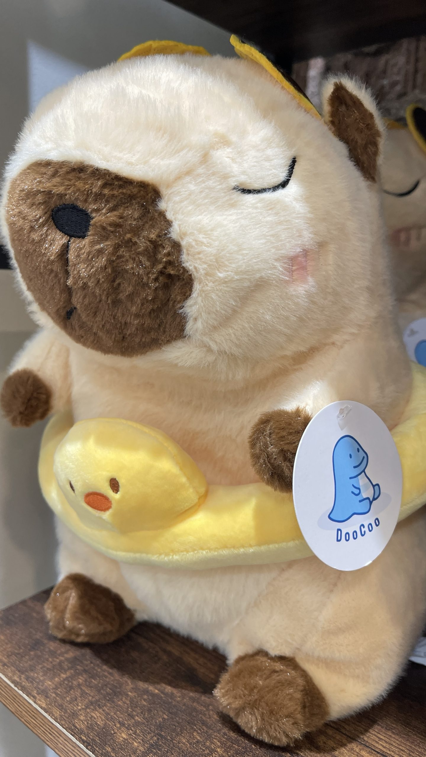 Capybara with Duck Swim Ring Plush – 30cm - Image 2
