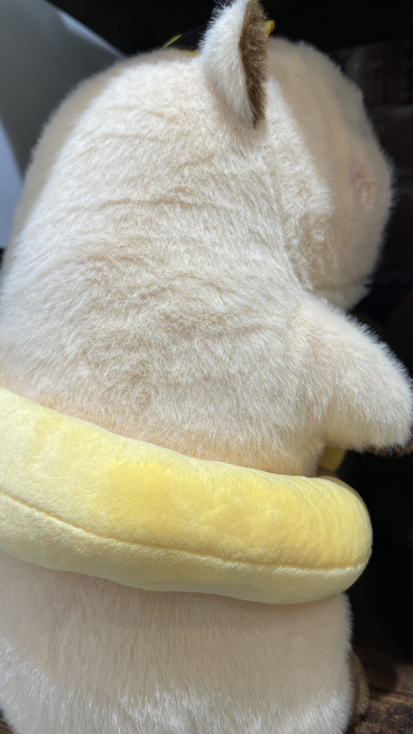 Capybara with Duck Swim Ring Plush – 30cm - Image 3