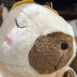Capybara with Duck Swim Ring Plush – 30cm