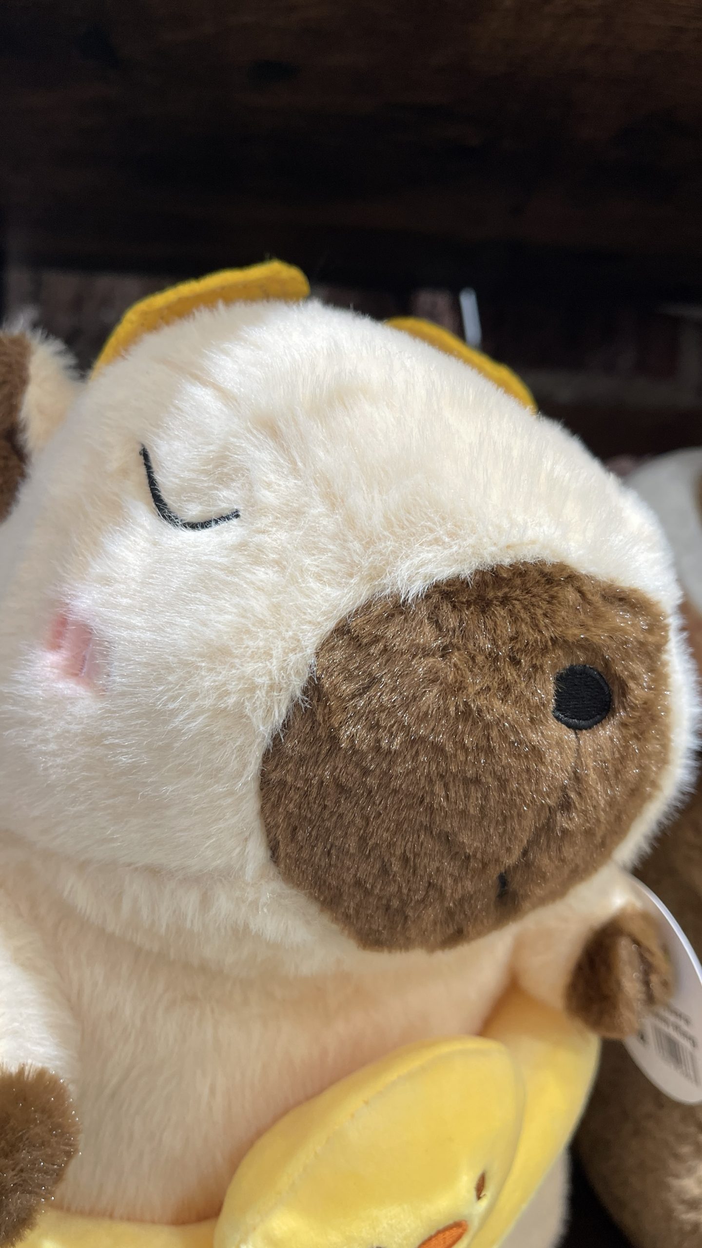 Capybara with Duck Swim Ring Plush – 30cm